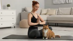 Wussten Sie, warum Katzen vom Geruch menschlichen Schweisses angezogen werden?