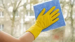 Womit sollte man die Fenster in diesem Frühjahr reinigen, damit sie bis zum Spätherbst strahlend sauber bleiben?