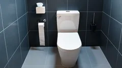Toilettendeckel jedes Mal schliessen: unerwartete Gründe, die kaum jemand kennt