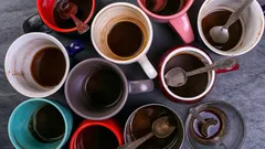 Gib ihnen ihr ursprüngliches Aussehen zurück: So entfernst du Teeflecken aus Tassen und Thermosflaschen ganz einfach