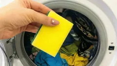 Warum man einen Spülschwamm in die Waschmaschine legen sollte: ein Lifehack, den Sie bestimmt noch nicht kannten