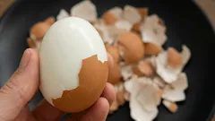 Eier so kochen, dass sich die Schale wie von selbst löst: Eine ausführliche Profi-Methode