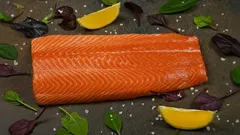 Welche Fische enthalten wenige Gräten? Ideal für Kinder und Erwachsene, die beim Essen wählerisch sind