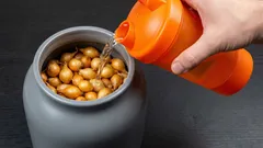 So wachsen Zwiebeln gross und gesund: Drei bewährte Tricks ohne unnötige Kosten und Aufwand